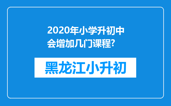 2020年小学升初中会增加几门课程?