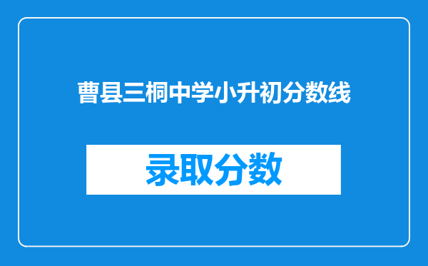 曹县三桐中学小升初分数线