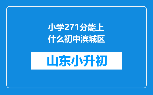 小学271分能上什么初中滨城区