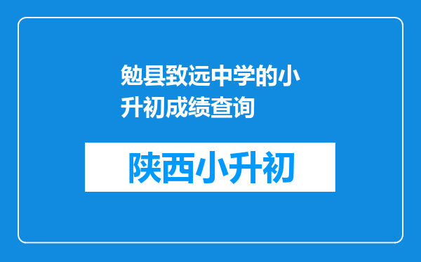 勉县致远中学的小升初成绩查询