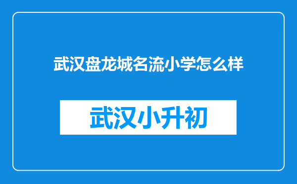 武汉盘龙城名流小学怎么样