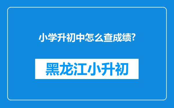 小学升初中怎么查成绩?