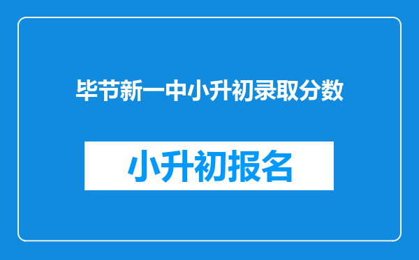 毕节新一中小升初录取分数