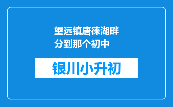 望远镇唐徕湖畔分到那个初中