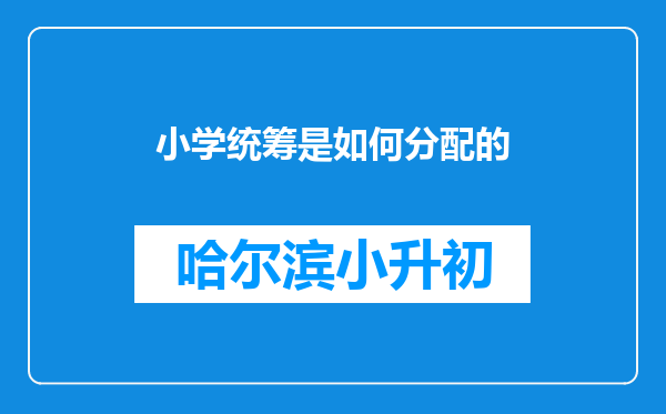 小学统筹是如何分配的