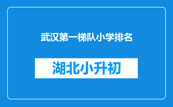 武汉第一梯队小学排名