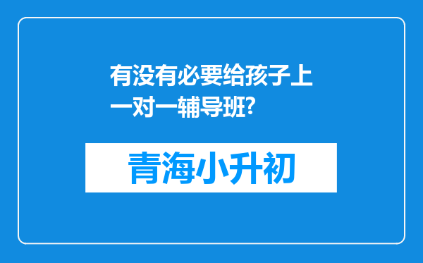 有没有必要给孩子上一对一辅导班?