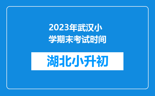 2023年武汉小学期末考试时间