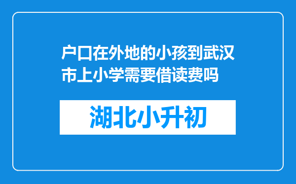 户口在外地的小孩到武汉市上小学需要借读费吗