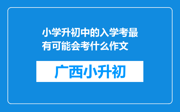 小学升初中的入学考最有可能会考什么作文