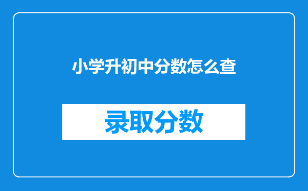 小学升初中分数怎么查