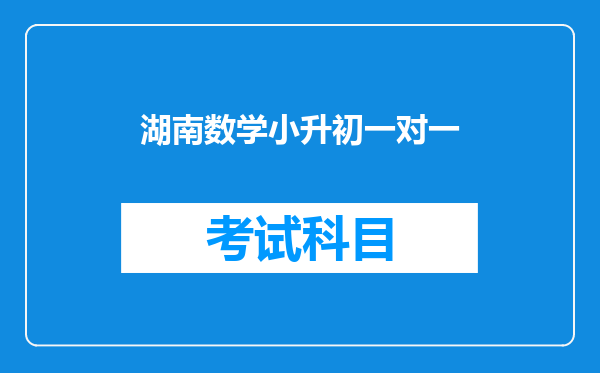 湖南数学小升初一对一