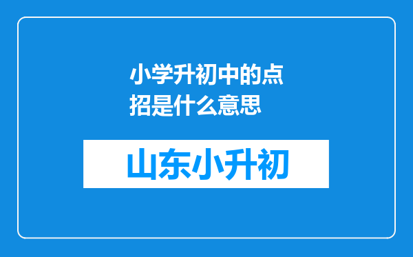 小学升初中的点招是什么意思