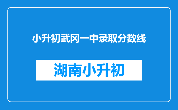 小升初武冈一中录取分数线