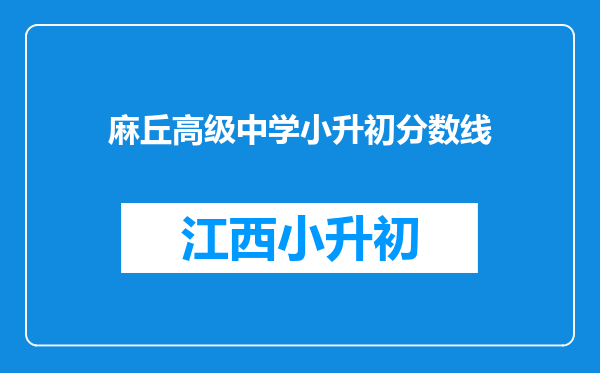 麻丘高级中学小升初分数线