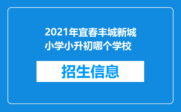 2021年宜春丰城新城小学小升初哪个学校