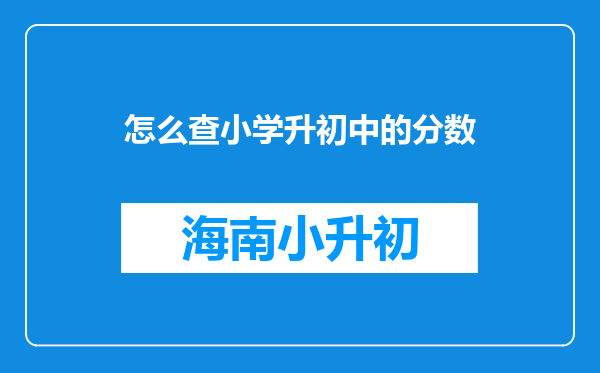 怎么查小学升初中的分数