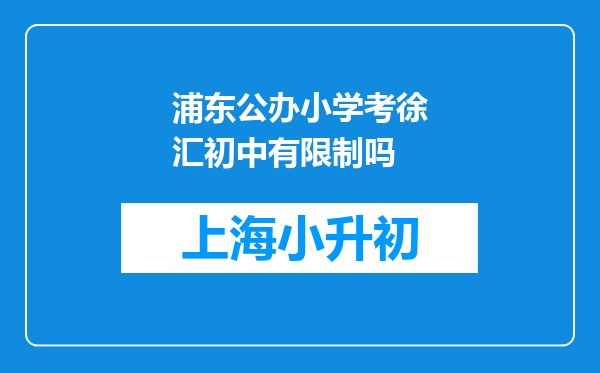 浦东公办小学考徐汇初中有限制吗