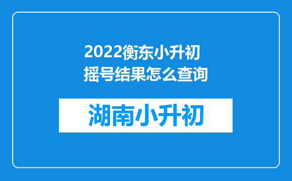 2022衡东小升初摇号结果怎么查询