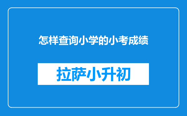 怎样查询小学的小考成绩