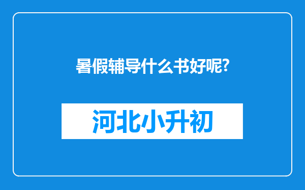 暑假辅导什么书好呢?