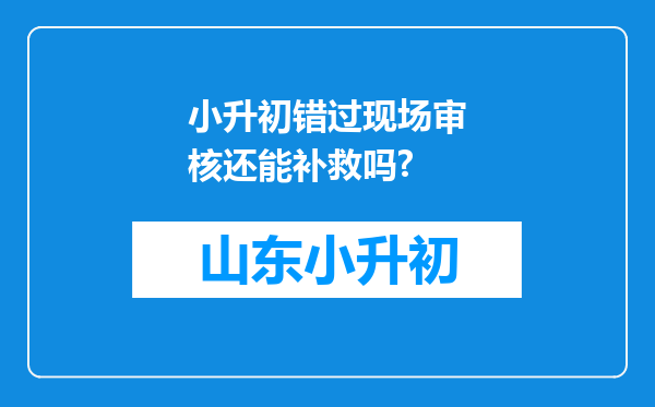 小升初错过现场审核还能补救吗?