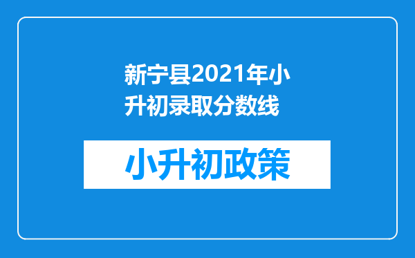 新宁县2021年小升初录取分数线