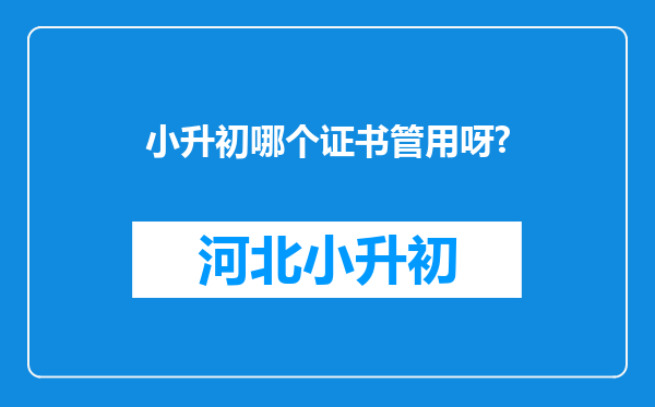 小升初哪个证书管用呀?