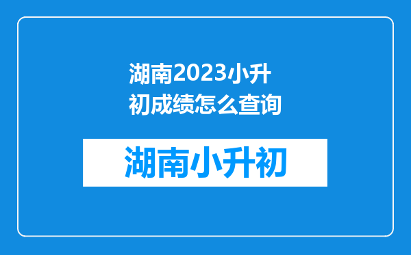 湖南2023小升初成绩怎么查询