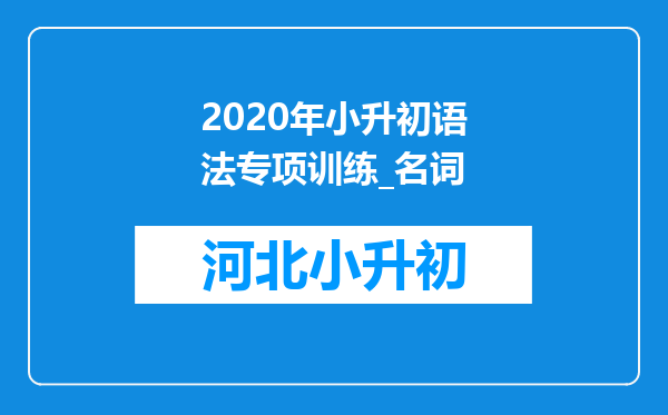 2020年小升初语法专项训练_名词