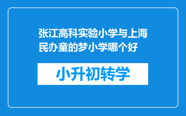 张江高科实验小学与上海民办童的梦小学哪个好