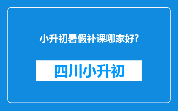 小升初暑假补课哪家好?