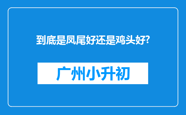 到底是凤尾好还是鸡头好?