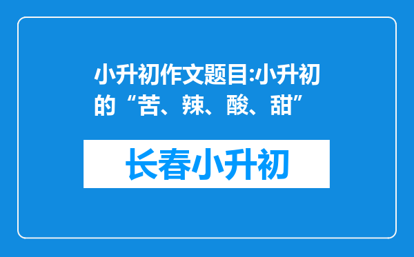 小升初作文题目:小升初的“苦、辣、酸、甜”