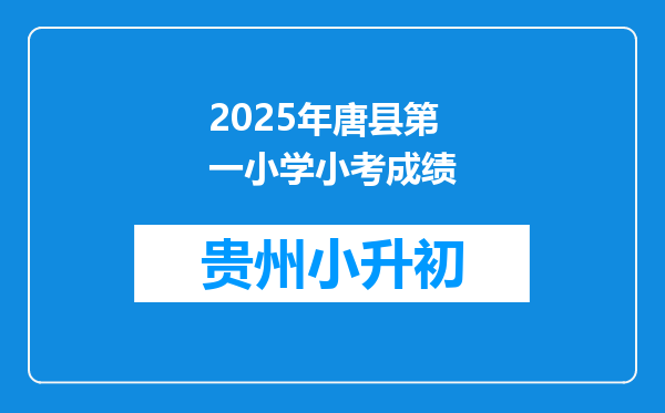 2025年唐县第一小学小考成绩