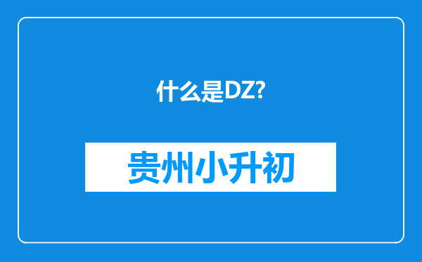 什么是DZ?