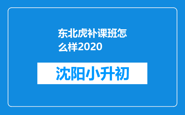 东北虎补课班怎么样2020