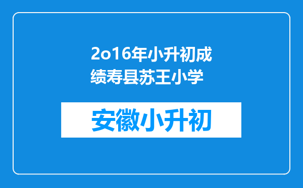 2o16年小升初成绩寿县苏王小学