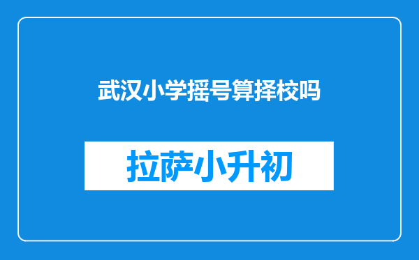 武汉小学摇号算择校吗