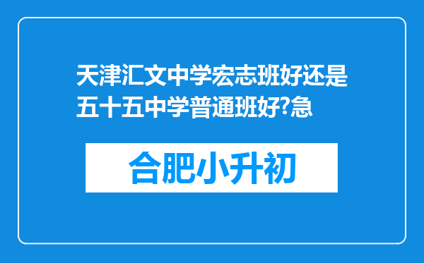 天津汇文中学宏志班好还是五十五中学普通班好?急