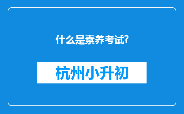 什么是素养考试?