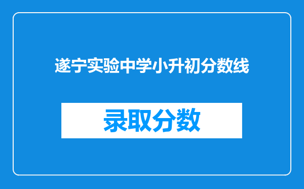 遂宁实验中学小升初分数线