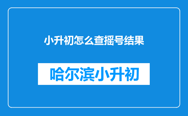 小升初怎么查摇号结果