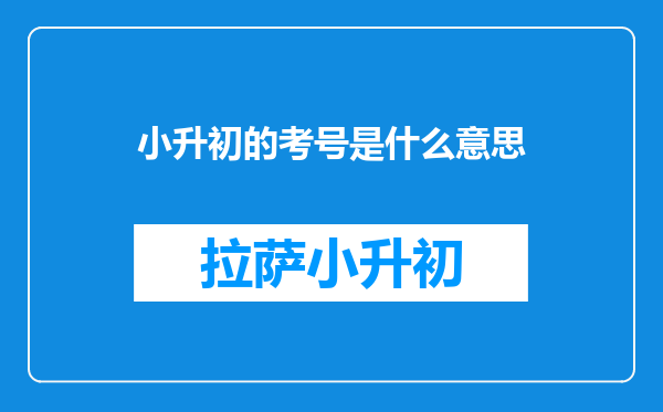 小升初的考号是什么意思