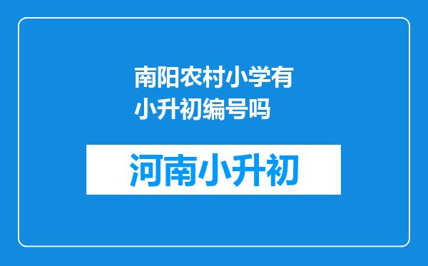 南阳农村小学有小升初编号吗