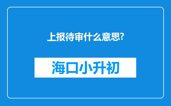 上报待审什么意思?