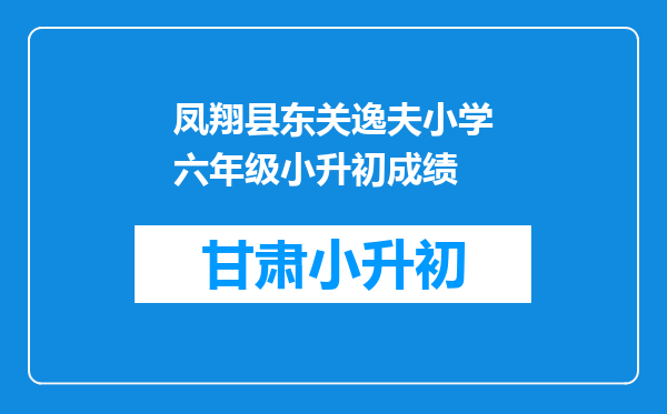 凤翔县东关逸夫小学六年级小升初成绩