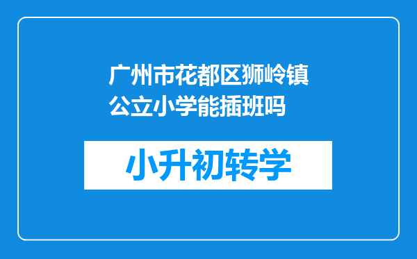 广州市花都区狮岭镇公立小学能插班吗