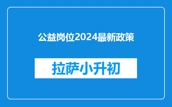 公益岗位2024最新政策