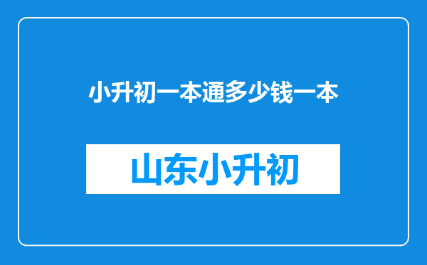 小升初一本通多少钱一本